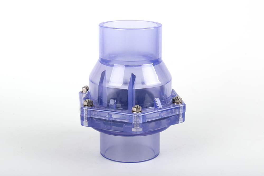 安国透明翻板式止回阀